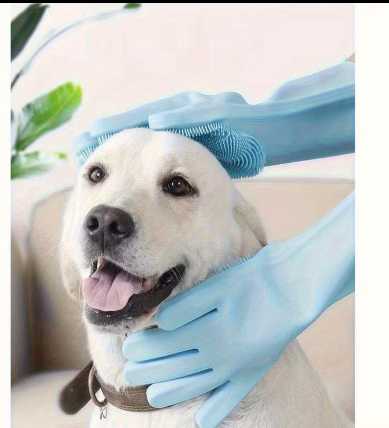 Gant de lavage pour chien